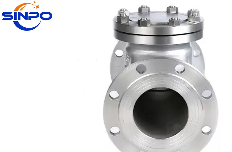 Flanged Lift Check Valve-Product Description(3).jpg