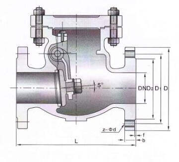 Flanged Swing Check Valve-Product Description（1）.jpg